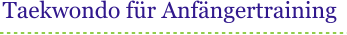 Taekwondo fr Anfngertraining