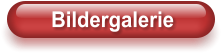 Bildergalerie
